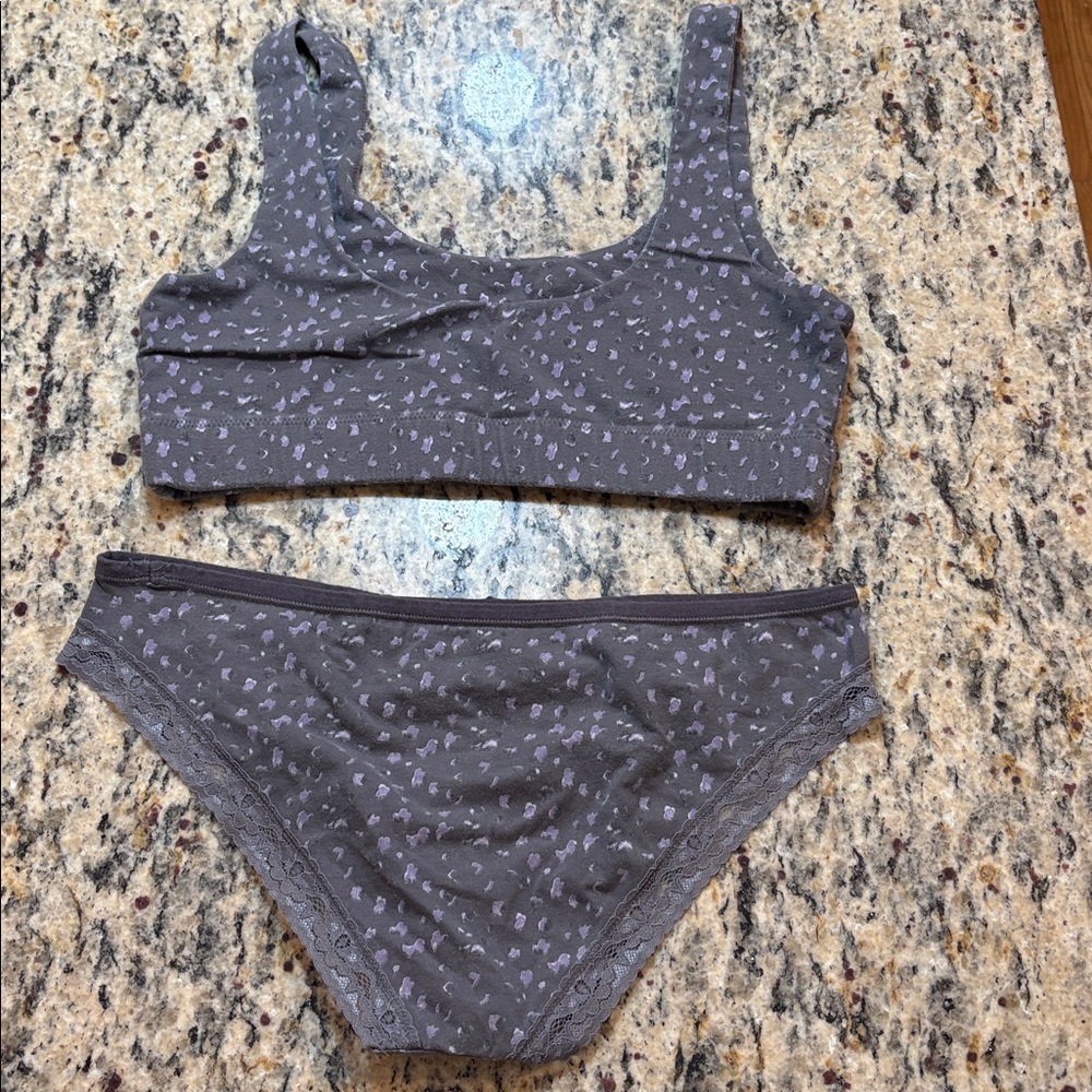 Pact Gray and Lavender Bra and Underwear Set - Picture 3 of 5